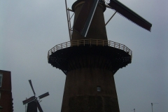veterny mlyn